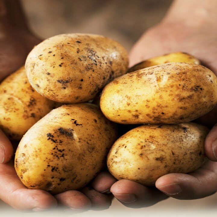 Potatoes